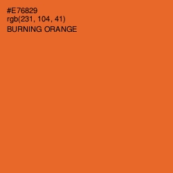 #E76829 - Burning Orange Color Image